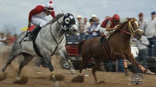 Carreras de Caballos en Nacori Grande 1 deMarzo 2015 [upl. by Cacilie107]