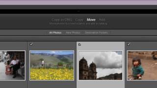 Import Settings for Importing Files and Images into Adobe Lightroom 3 [upl. by Ikcim988]