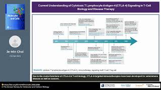 Current Understanding of Cytotoxic T Lymphocyte Antigen4 CTLA4 Signaling in TCell Biology and [upl. by Wrennie]