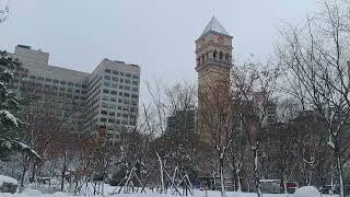 Sejong University Winter Seoul South Korea [upl. by Llarret]