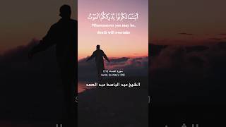 Heartwarming quran recitation  Listen and reflect islamicshorts islam تلاوة تقشعر لها الأبدان [upl. by Chavez647]