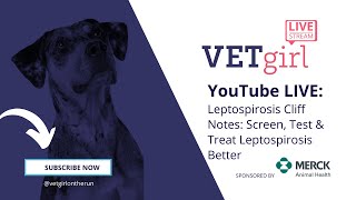 VETgirl YouTube LIVE Webinar Leptospirosis Cliff Notes Screen Test amp Treat Leptospirosis Better [upl. by Nyloc888]