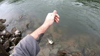 Striper Fishing  Maybe  Melton Hill dam [upl. by Leora]