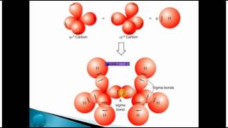 Química organica Hibridación [upl. by Ettelrahc765]