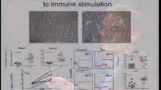 Pathogenesis of Human TCell Leukemia Virus Type I Infections Roles of Viral amp Immune Activation [upl. by Nnaeed476]