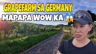 NAGLAKAD MAG ISA  GRAPEFARM SA GERMANY SOBRANG LAWAK  BAD DÜRKHEIM GERMANY 🇩🇪 [upl. by Eniamej]