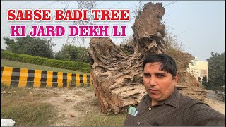 SABSE BADI TREE KI JARD DEKH LI  RIYAZ SAIFI VLOG [upl. by Tenej]