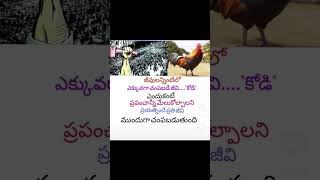 motivation quotes telugu inspirationalquotes youtubeshorts [upl. by Hanway]