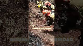 Incendio Forestal bomberosecuador bomberosforestal shorts motivational [upl. by Georgeta788]