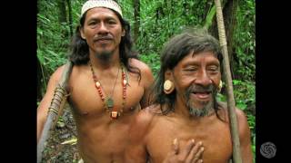 Mark Plotkin Maps Magic and Medicine in the Rainforest  Bioneers 2016 [upl. by Kane]