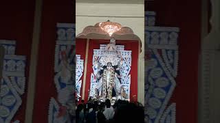 somen mitra kali puja amherst street [upl. by Mathilda]