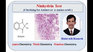 Ninhydrin Test [upl. by Sanjay733]