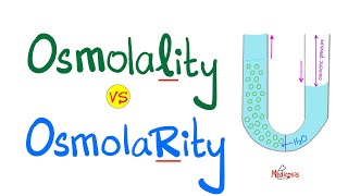 Osmolality vs Osmolarity with a mnemonic  Physiology and Chemistry [upl. by Ulland]