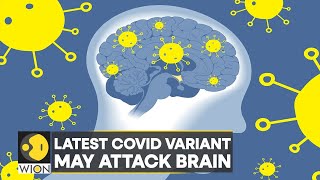 Study Omicron BA5 subvariant may cause more damage  Covid19  WION Pulse  Latest English News [upl. by Ezmeralda]