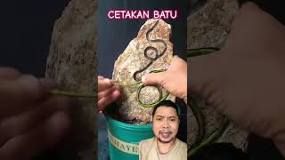 CETAKAN BATU TANAMAN HIAS [upl. by Lavud]