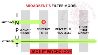 Broadbents Filter Model  Dichotic Listening Task  Cocktail Party Effect Models of Attention UGC [upl. by Ekim]