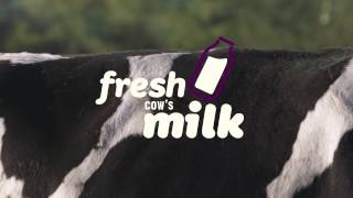 a2 MIlk™ Real milk for people who dont get on with milk [upl. by Yraek]