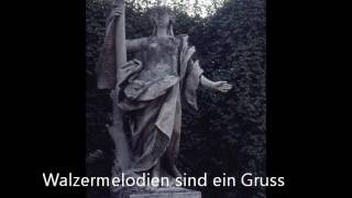 ChorinskyHardegg Walzermelodien sind ein Gruss aus Wien [upl. by Edholm]