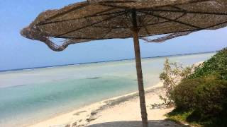 Egypt Egipt Marsa Alam Blue Reef Resort 4 2017 [upl. by Osbert]