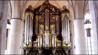 Bach  Organ Concerto BWV 594  Ton Koopman [upl. by Liryc507]