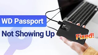 2024 Fixed  WD Passport Not Showing UpRecognized in Windows 10amp11 [upl. by Nasia]