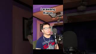 Cover Song  Larawang Kupas [upl. by Kaycee55]