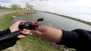 Bass fishing Isleta lakes New Mexico [upl. by Ieso]