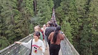 Capilano Suspension Bridge Park Vancouver British Columbia Canada 🇨🇦 [upl. by Claudy463]