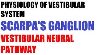 Neural pathways  Scarpas ganglion and Connections  of Vestibular system [upl. by Wilscam]