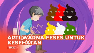 Kenali Beda Warna Feses dan Artinya Terkait Kondisi Kesehatan Tubuh [upl. by Amelina]