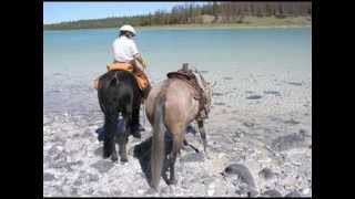 Wild Horses search in BC Canada and found [upl. by Asillam876]