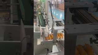 Spouted pouch counter machinery  stand up bags sorter machine [upl. by Palestine]