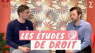 Licence de Droit vs BTS Notariat vs DUT Carrières Juridiques  On vous explique tout   Thotis [upl. by Wassyngton]