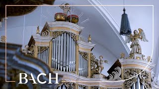 Bach  Fantasia and fugue in C minor BWV 537  Wiersinga  Netherlands Bach Society [upl. by Angelis832]