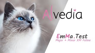 Alvedia  EmMa Test Feline Emergency Matching Test procedure [upl. by Aivilys]