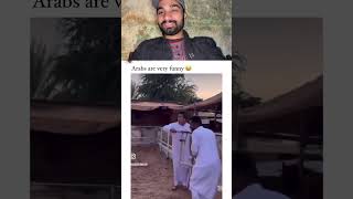 Arabian funny video Horse prank  veryfunny youtube youtubeshorts shorts trending shortsfeed [upl. by Simara258]