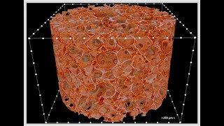 Lyophilization Freeze drying pharmaceuticals [upl. by Hannibal]