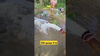 3Hp submersible pump submersible viralvideo agriculture [upl. by December]