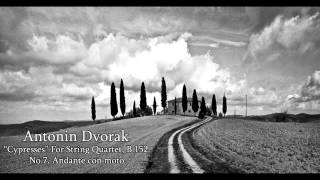 Dvorak Cypresses B152 No7 Andante con moto [upl. by Elihu]