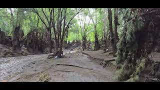 Ruidoso flood July 212024 [upl. by Natasha]