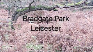 Bradgate park Leicester November 2024 [upl. by Yatnohs]