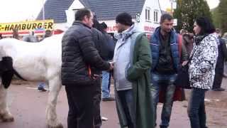 Paardenmarkt Hedel 2014 [upl. by Anirehs663]