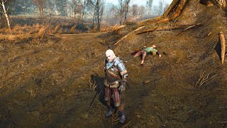 Some players havent seen this even after 3000 hours of play  The Witcher 3 [upl. by Tihom]