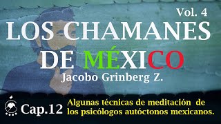 Cap 12 Técnicas de meditación de los PAM  LOS CHAMANES DE MÉXICO Vol 4  Jacobo Grinberg [upl. by Drape]