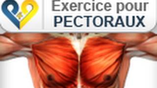 Musculation pectoraux Pompes [upl. by Ahsiuqat]