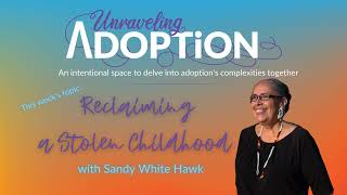 Reclaiming a Stolen Childhood with Sandy White Hawk  Ep 94 [upl. by Jobyna346]