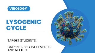 Lysogenic cycle  Lysogenic conversion  Virology L5 [upl. by Adnerad721]