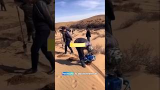 Le desert en Chine lesaviez lesaviezvous apprendresuryoutube histoire desert chinese shorts [upl. by Etteoj]