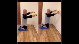 Midsection dynamic stability workout idea strengthcoach strengthtips homeworkout [upl. by Beaudoin]