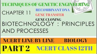 PART2 RECOMBINANT DNAGENE CLONINGGENE TRANSFER BIOTECHNOLOGYPRINCIPLESCHAPTER 11 CLASS 12TH BIO [upl. by Eadas693]